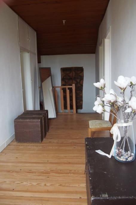 Coufouleux La Case A Jane, Gite Familial En Pays Tarnais מראה חיצוני תמונה